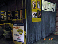 The CFA Intertional Cat Show